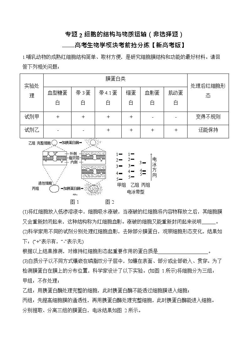 2026年高三高考生物二轮复习练习 专题2 细胞的结构与物质运输（非选择题）第1页