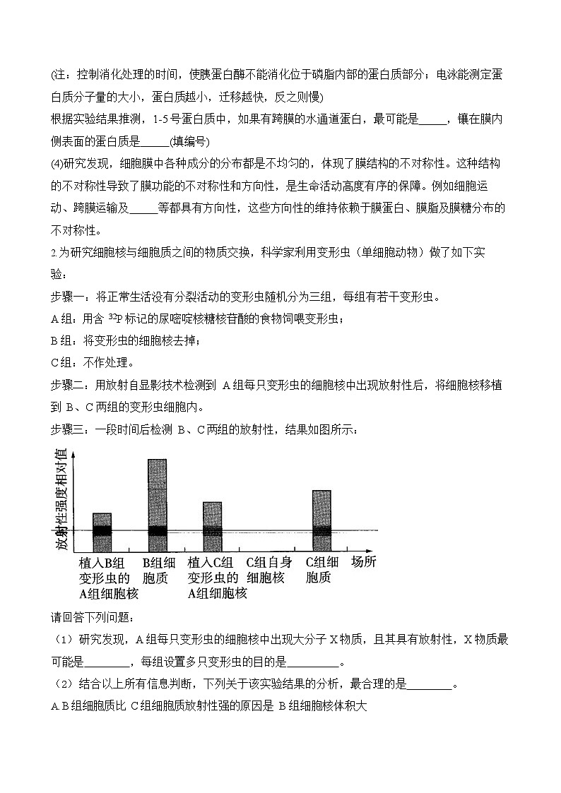 2026年高三高考生物二轮复习练习 专题2 细胞的结构与物质运输（非选择题）第2页