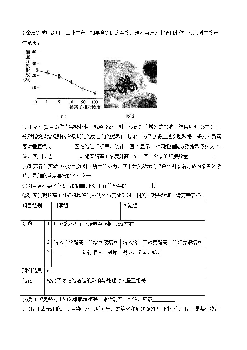 2026年高三高考生物二轮复习练习 专题4 细胞的生命历程（非选择题）第2页