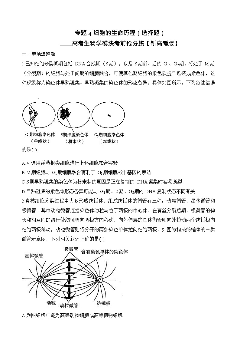 2026年高三高考生物二轮复习练习 专题4 细胞的生命历程（选择题）第1页