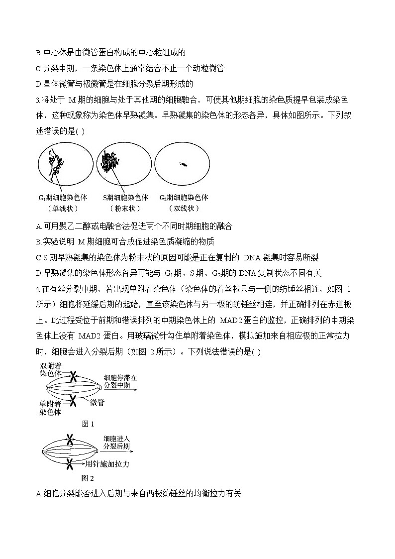 2026年高三高考生物二轮复习练习 专题4 细胞的生命历程（选择题）第2页