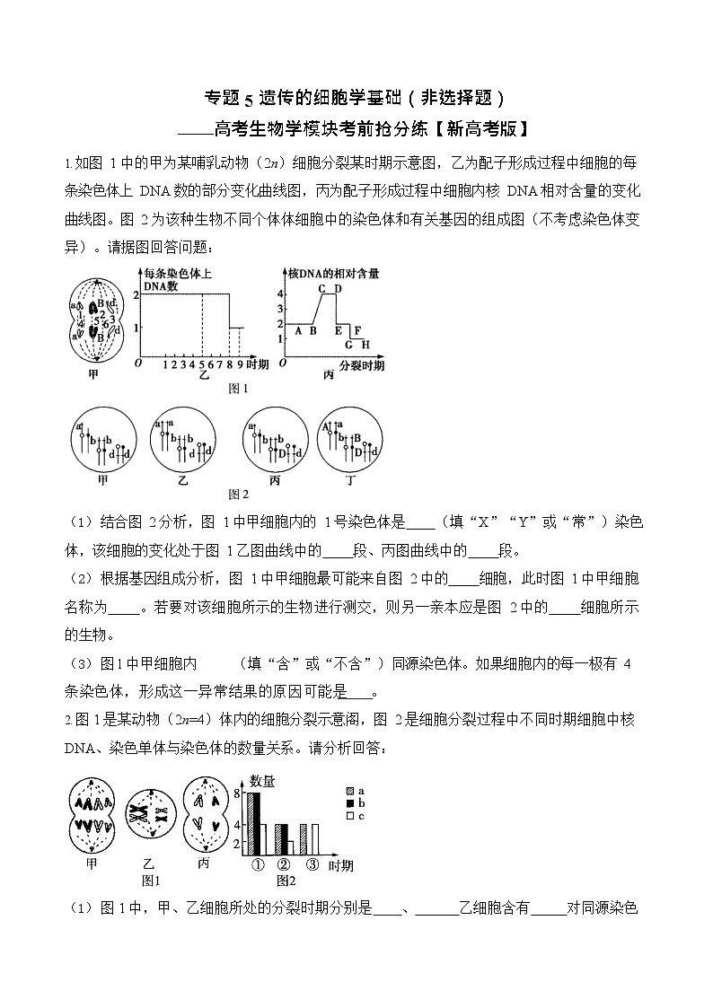 2026年高三高考生物二轮复习练习 专题5 遗传的细胞学基础（非选择题）第1页