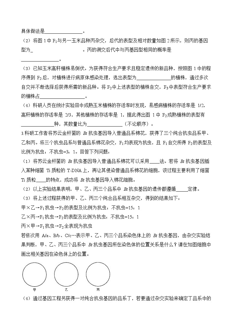 2026年高三高考生物二轮复习练习 专题6 遗传的基本规律（非选择题）第2页