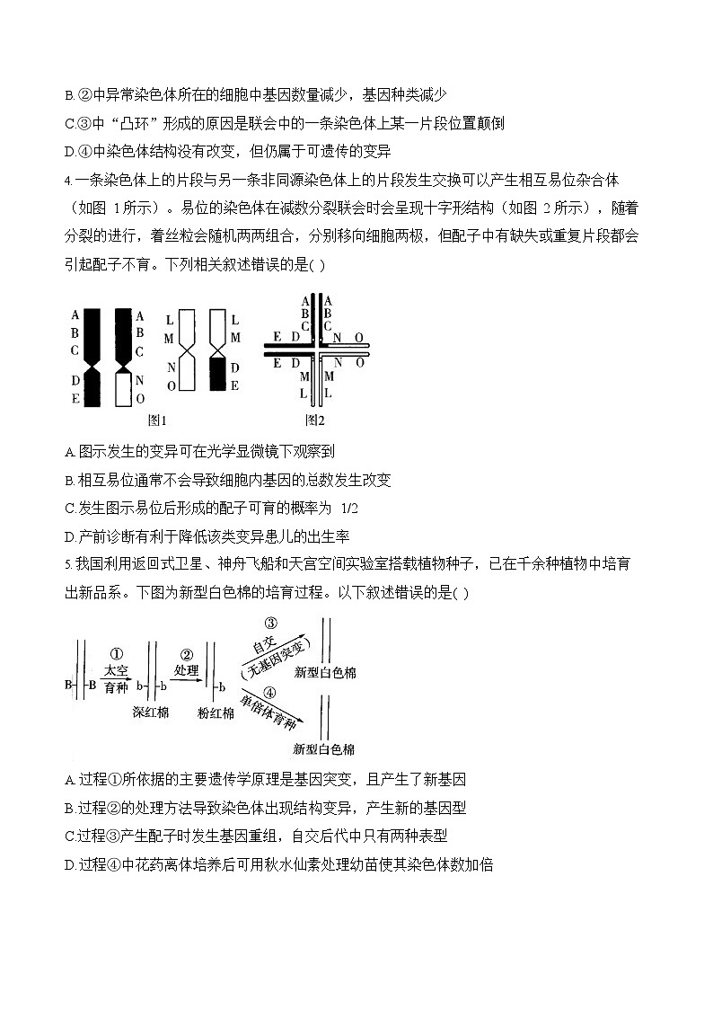 2026年高三高考生物二轮复习练习 专题8 生物的变异与进化（选择题）第2页