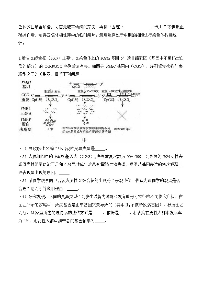 2026年高三高考生物二轮复习练习 专题8 生物的变异与进化（非选择题）第2页