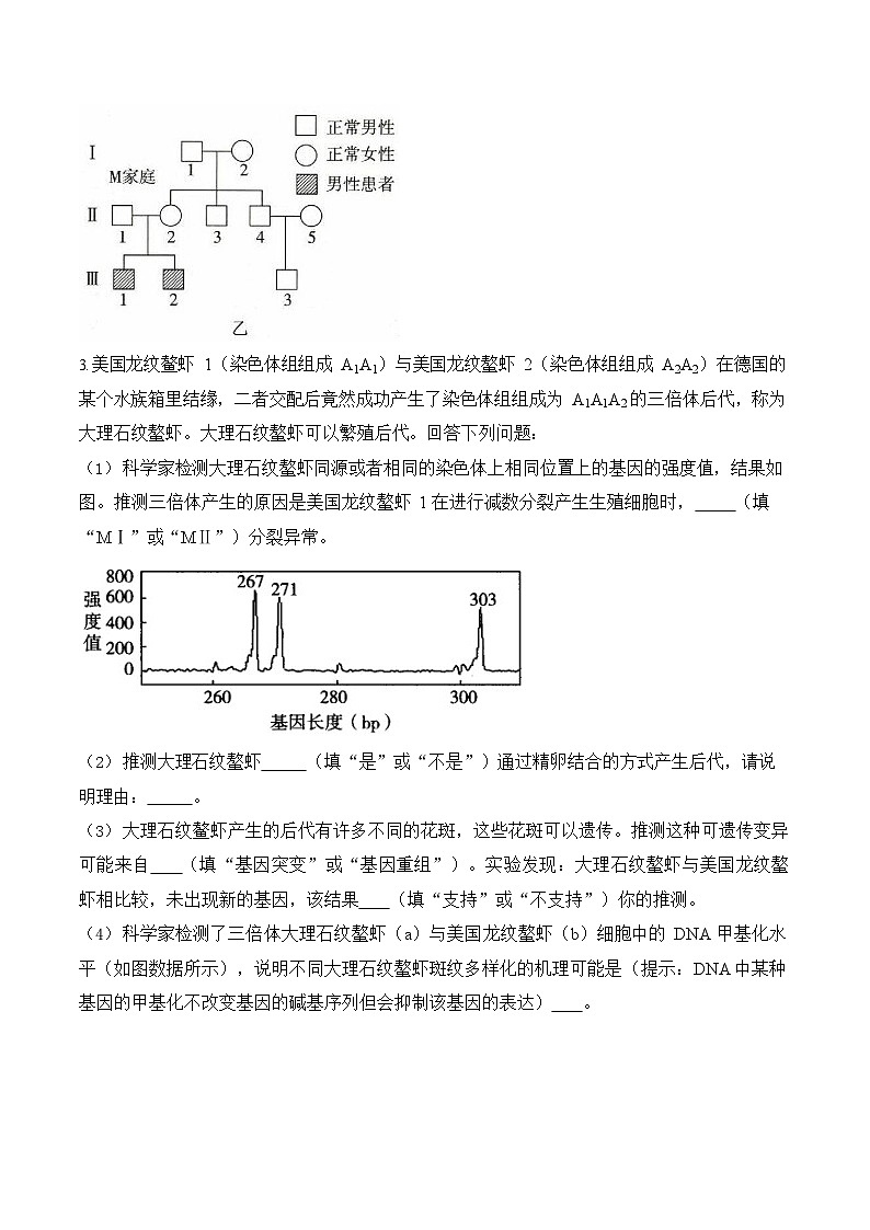 2026年高三高考生物二轮复习练习 专题8 生物的变异与进化（非选择题）第3页