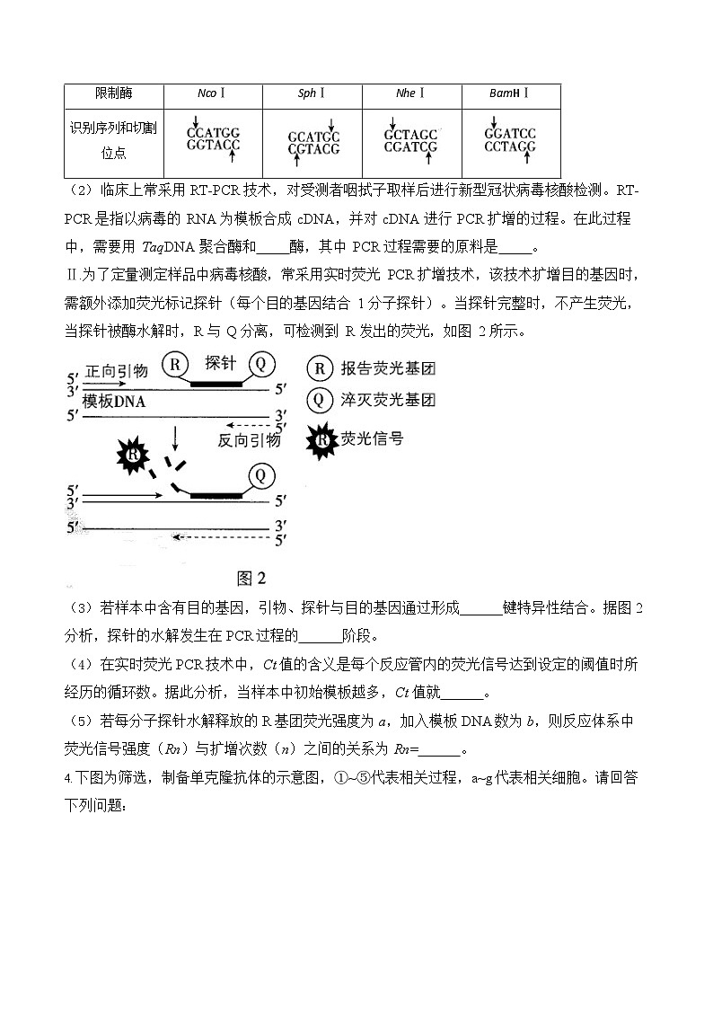2026年高三高考生物二轮复习练习 专题12 生物技术与工程（非选择题）第3页