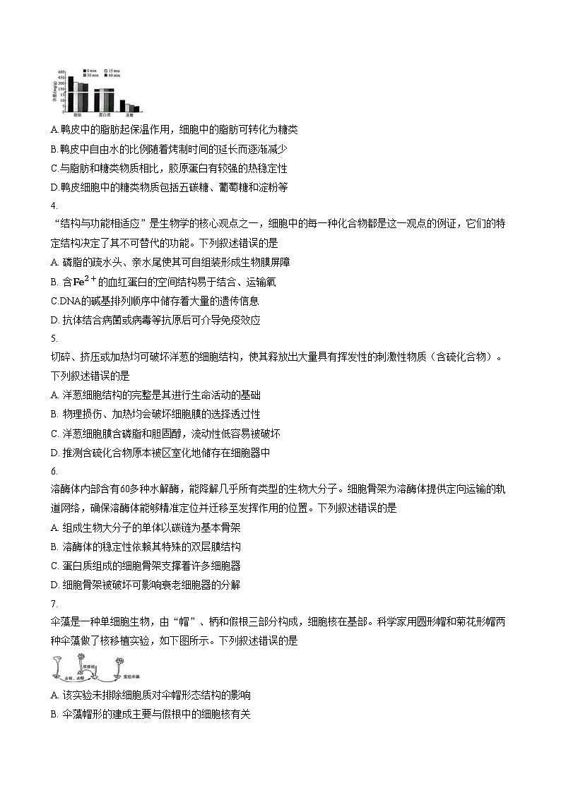 河南开封市新未来2025_2026学年高一年级下学期3月测评生物试题(文字版含答案)第2页