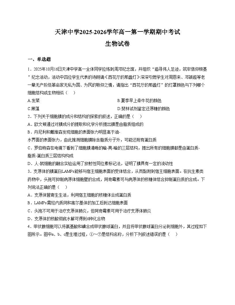 天津市南开区天津中学2025_2026学年高一上学期期中考试生物试卷（文字版，含答案）第1页