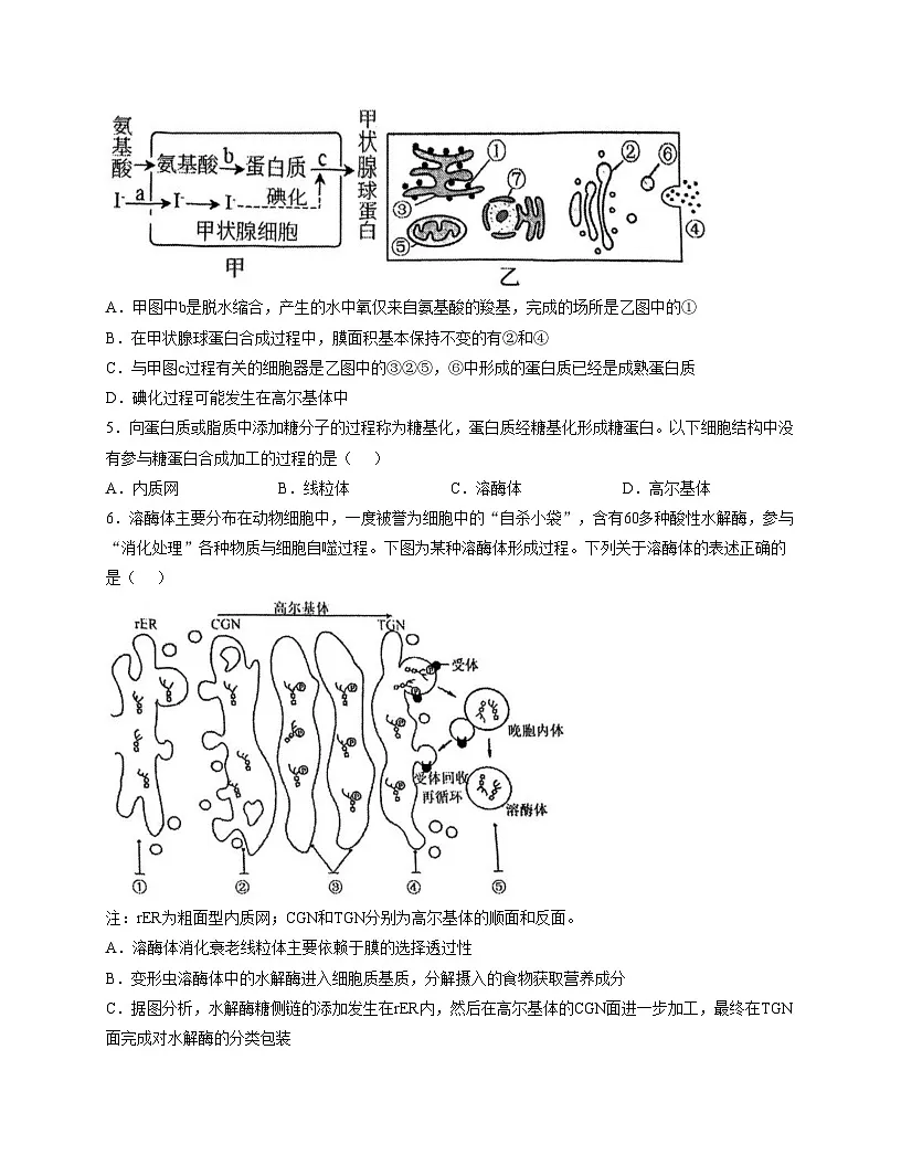 天津市南开区天津中学2025_2026学年高一上学期期中考试生物试卷（文字版，含答案）第2页