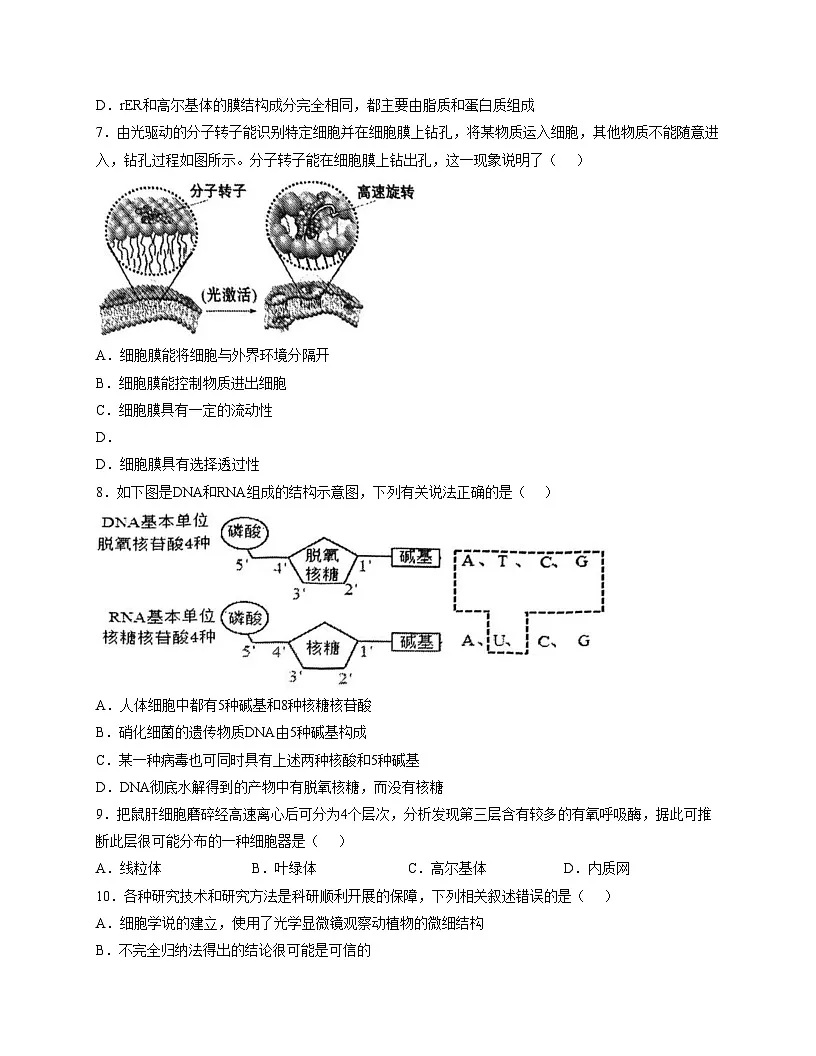 天津市南开区天津中学2025_2026学年高一上学期期中考试生物试卷（文字版，含答案）第3页