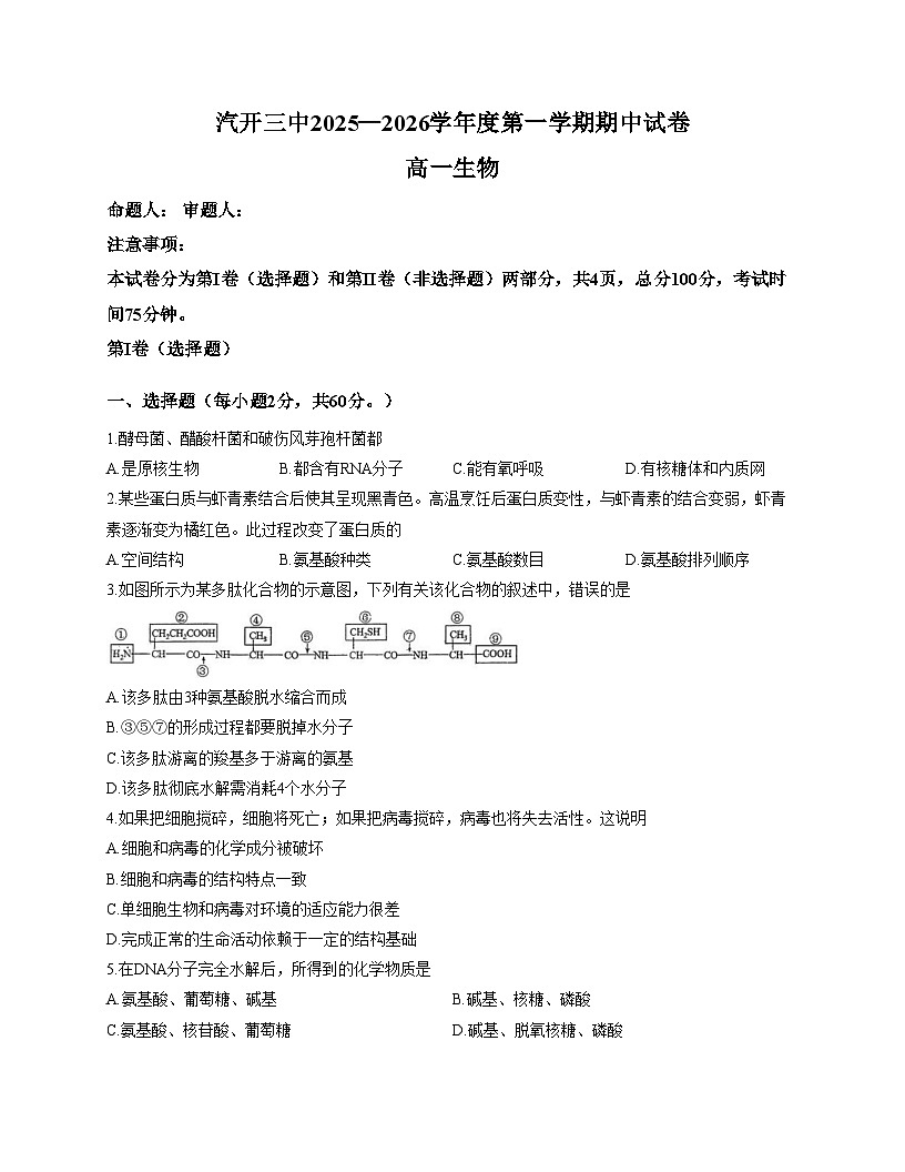 吉林省长春市汽车经济技术开发区第三中学2025_2026学年高一上学期11月期中生物试题（文字版，含答案）第1页