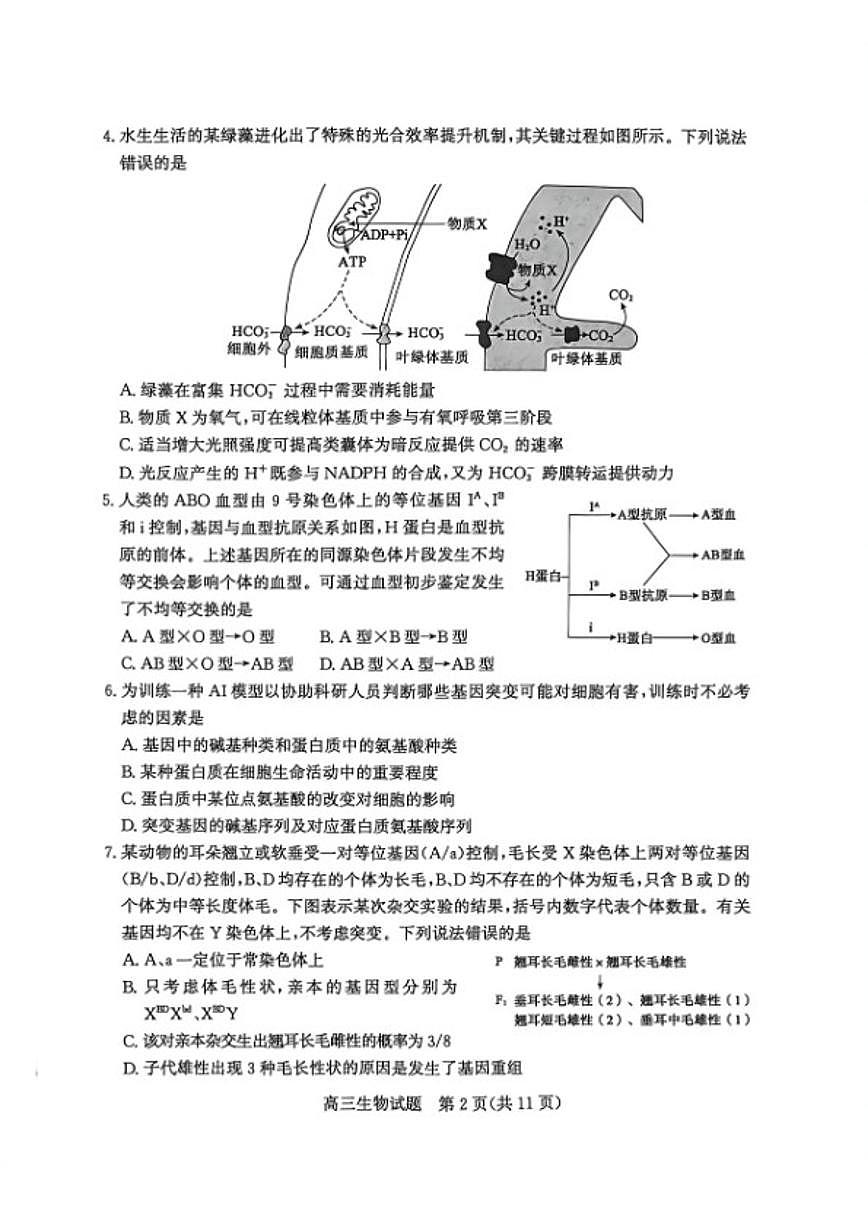 山东省滨州市2026届高三下学期3月第一次模拟考试生物学（含答案）试卷第2页