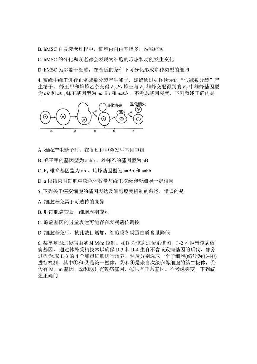 山东省济宁市2026年高三高考一模生物学（含答案）试卷第2页