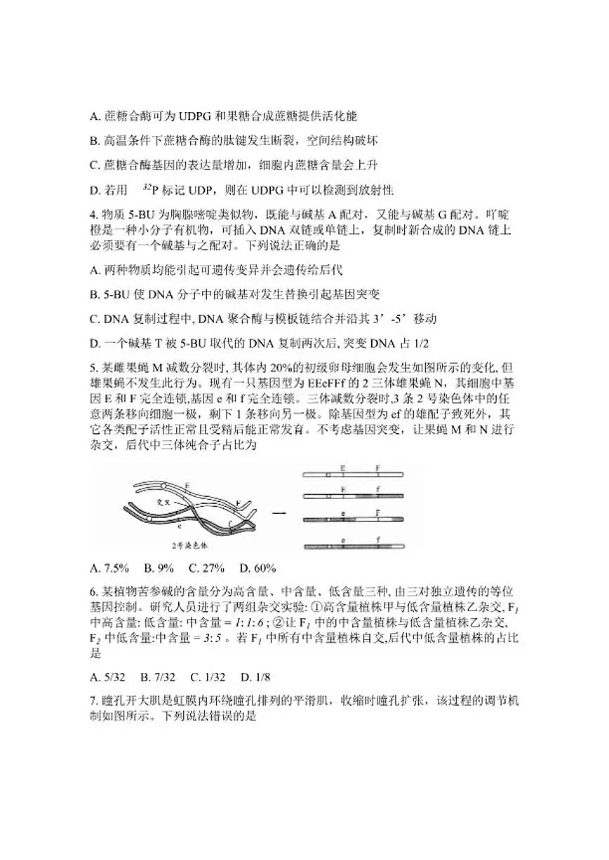 山东省日照市2026年高三高考一模生物学（含答案）试卷第2页