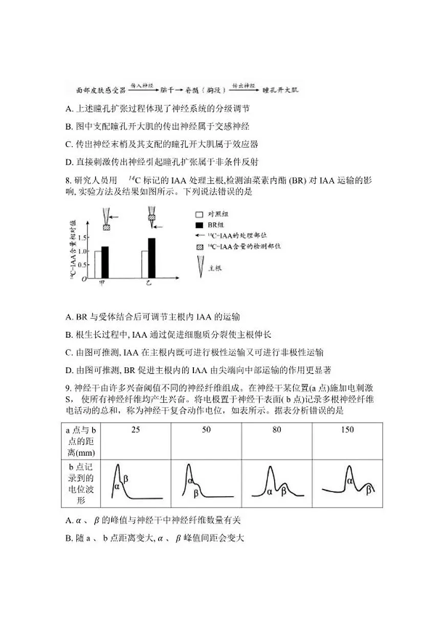 山东省日照市2026年高三高考一模生物学（含答案）试卷第3页