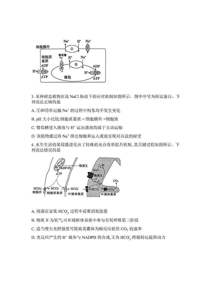 山东省滨州市2026年高三高考一模生物学（含答案）试卷第2页