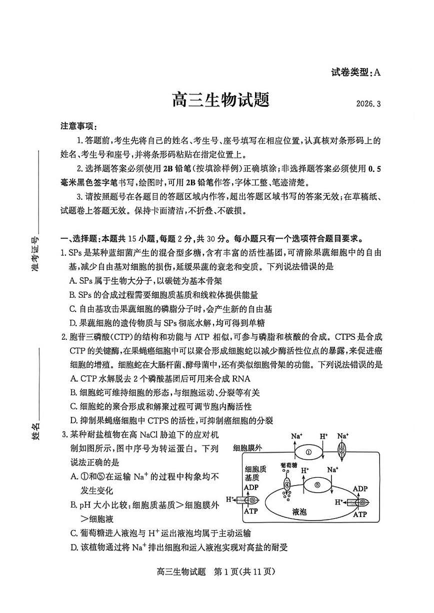 2026届山东省滨州市下学期高三一模生物试题（含答案） (1)第1页