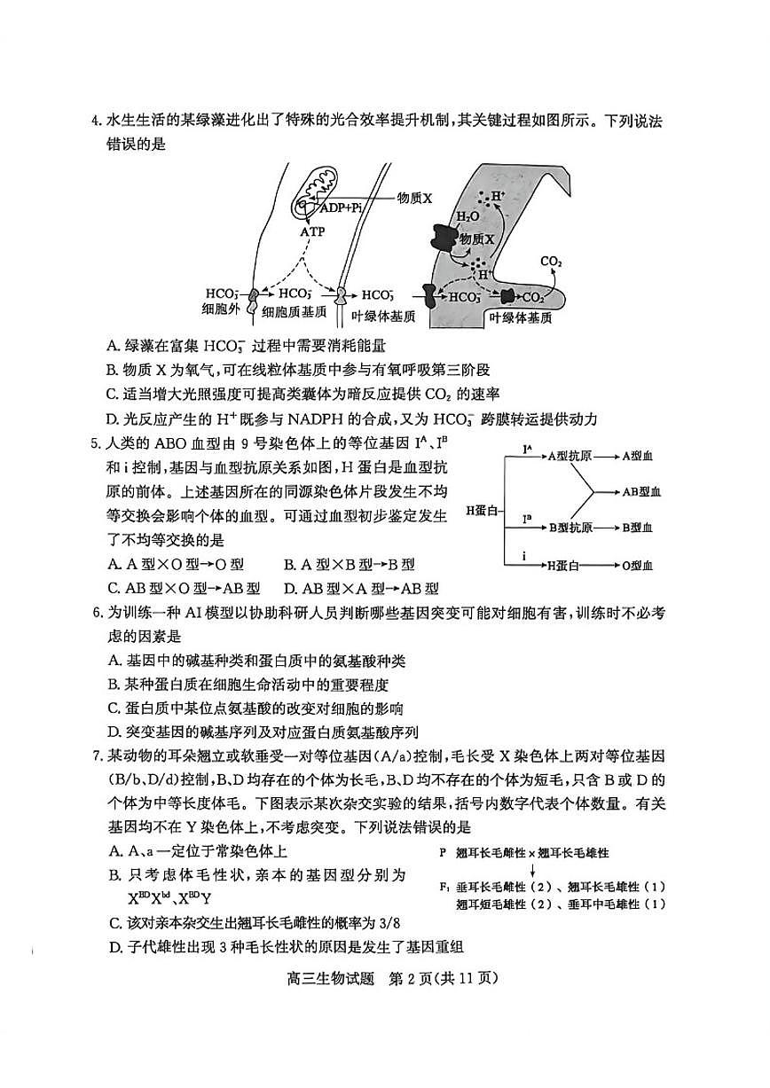 2026届山东省滨州市下学期高三一模生物试题（含答案） (1)第2页