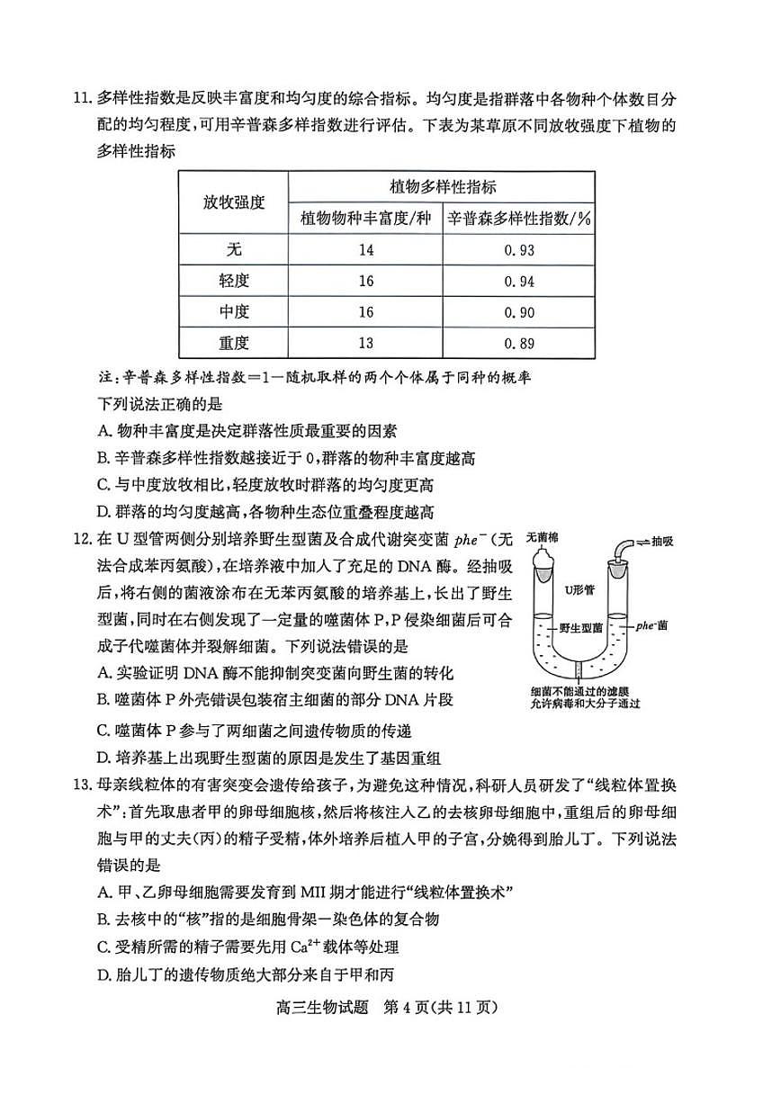 2026届山东省滨州市下学期高三一模生物试题（含答案） (1)第3页