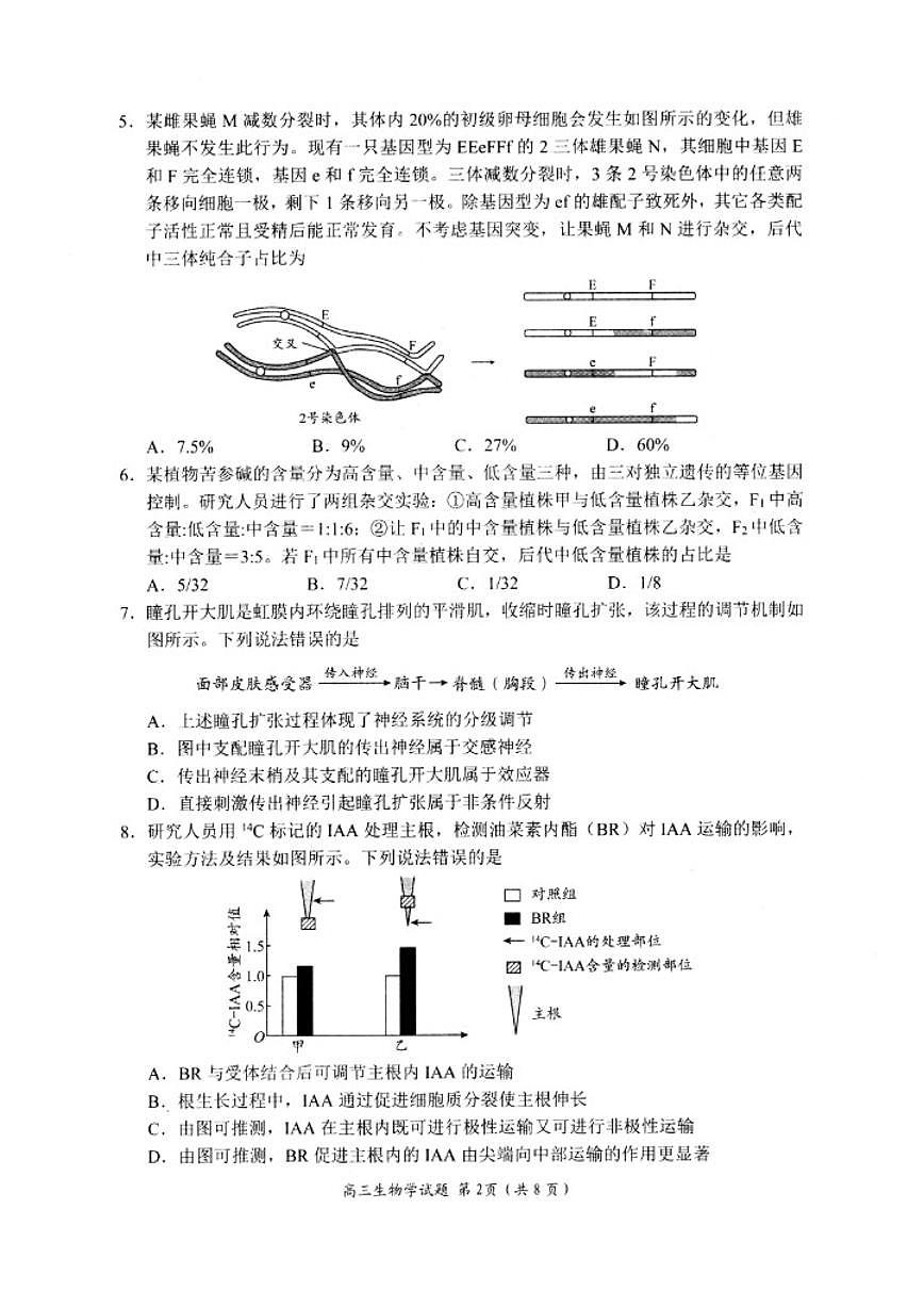 2026届山东省日照市下学期高三一模生物试题（含答案） (1)第2页