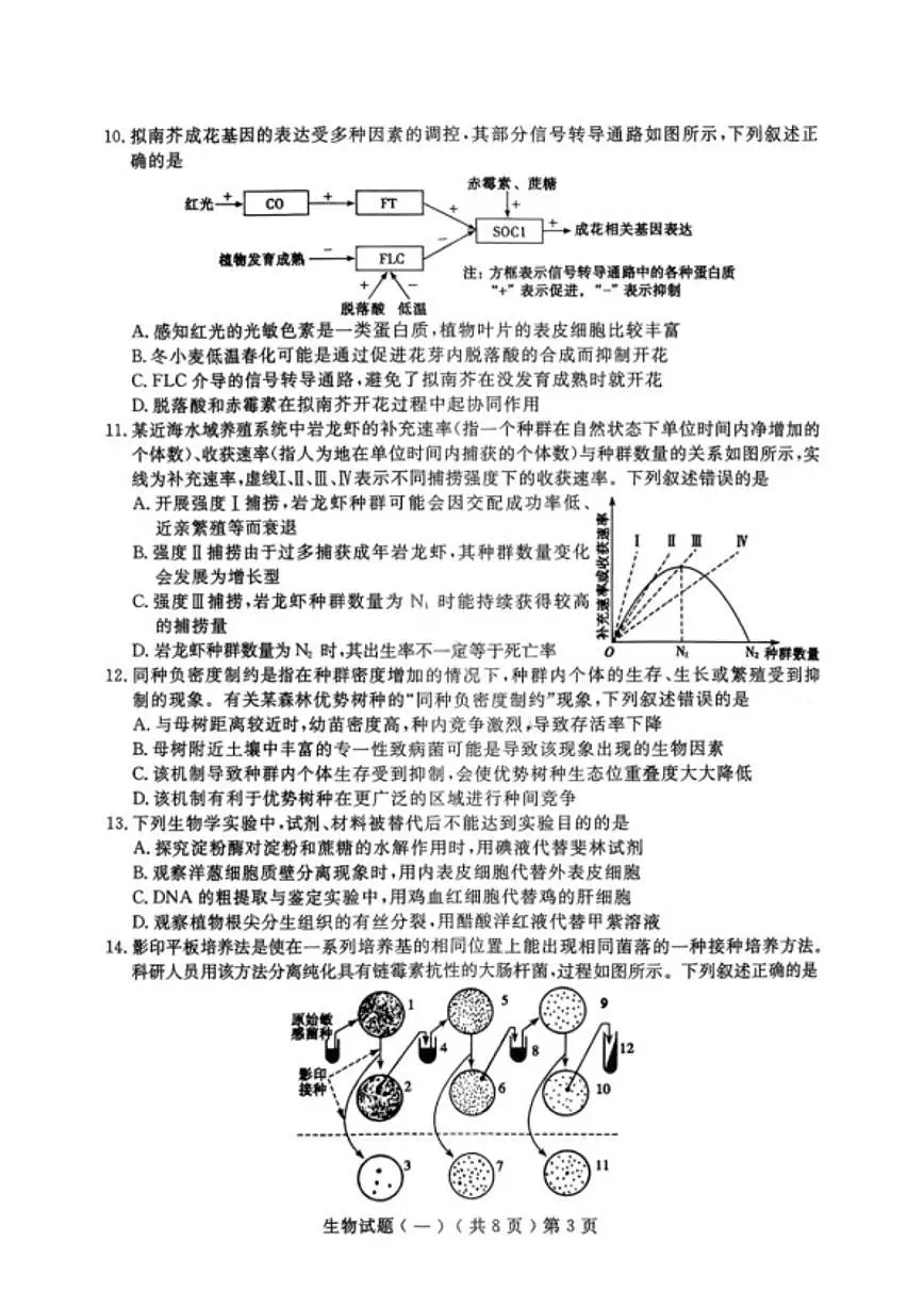 山东省聊城市2026年3月高三模拟考试试题（一）(聊城一模)生物学（含答案）试卷 (1)第3页
