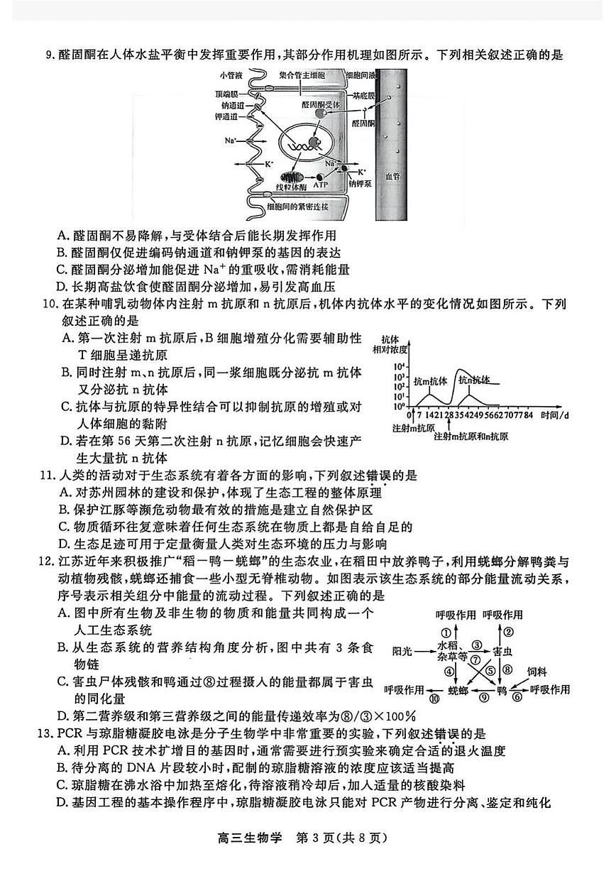 江苏省九校2026届高三下学期3月联考 生物试题（含答案）第3页