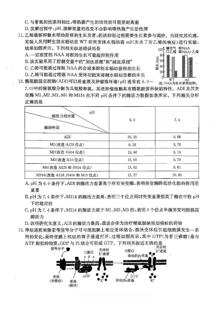 重庆好教育联盟2026届高三下学期3月开学联考（26-284C）生物第3页