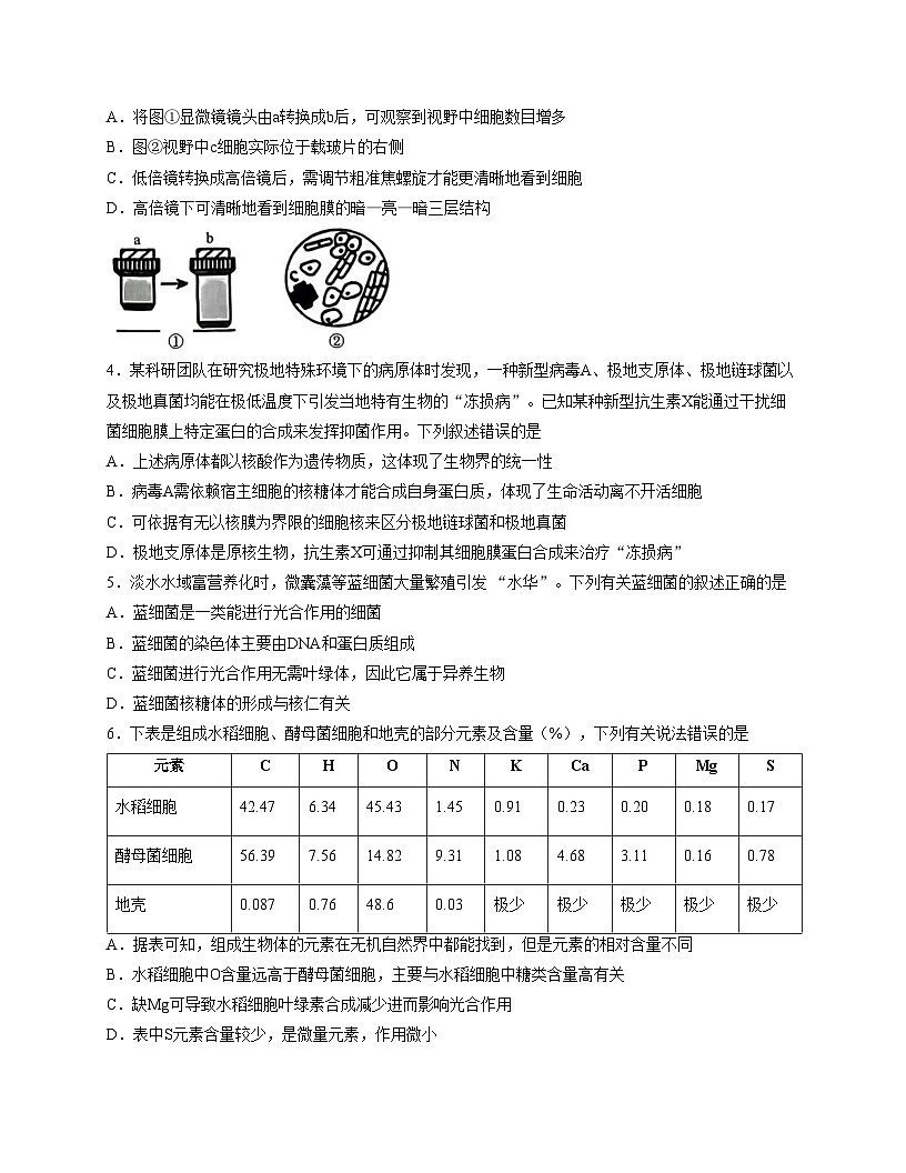 湖北省襄阳市部分高中教联体2025_2026学年高一上学期11月期中生物试题（文字版，含答案）第2页