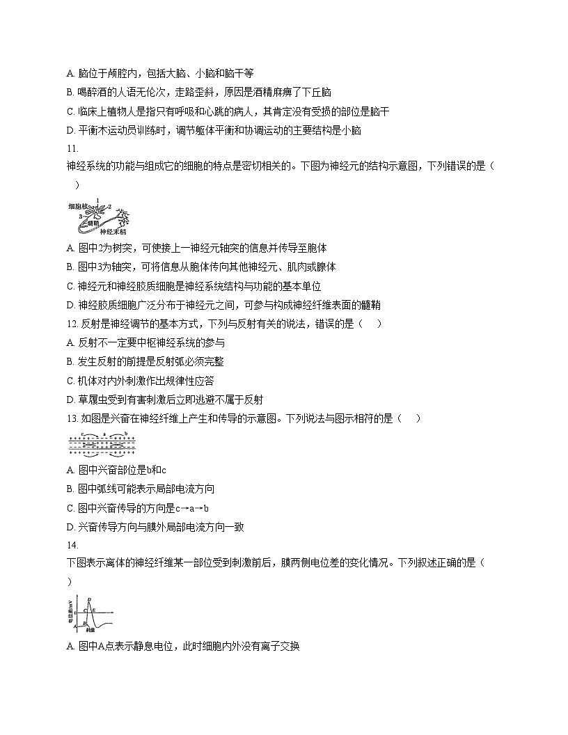 新疆克拉玛依市独山子区第二中学2025_2026学年高二上学期11月期中考试生物试题平行班（文字版，含答案）第3页