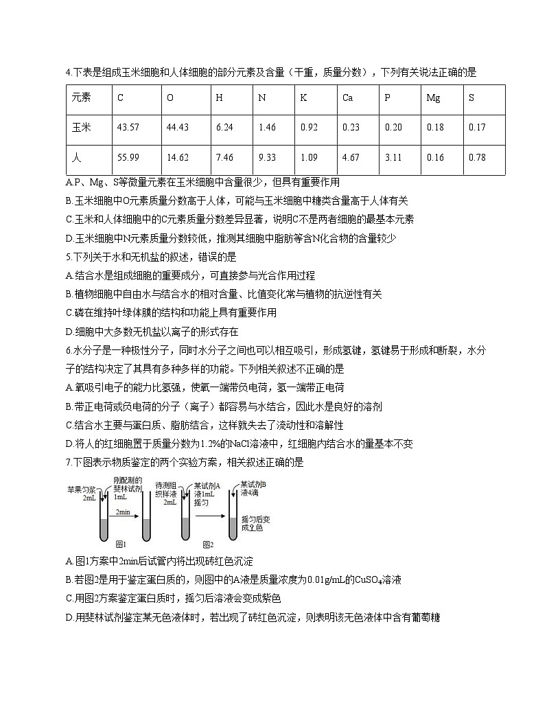 山东省师范大学附属中学2025_2026学年高一上学期期中生物试题（扫描版，含答案）第2页