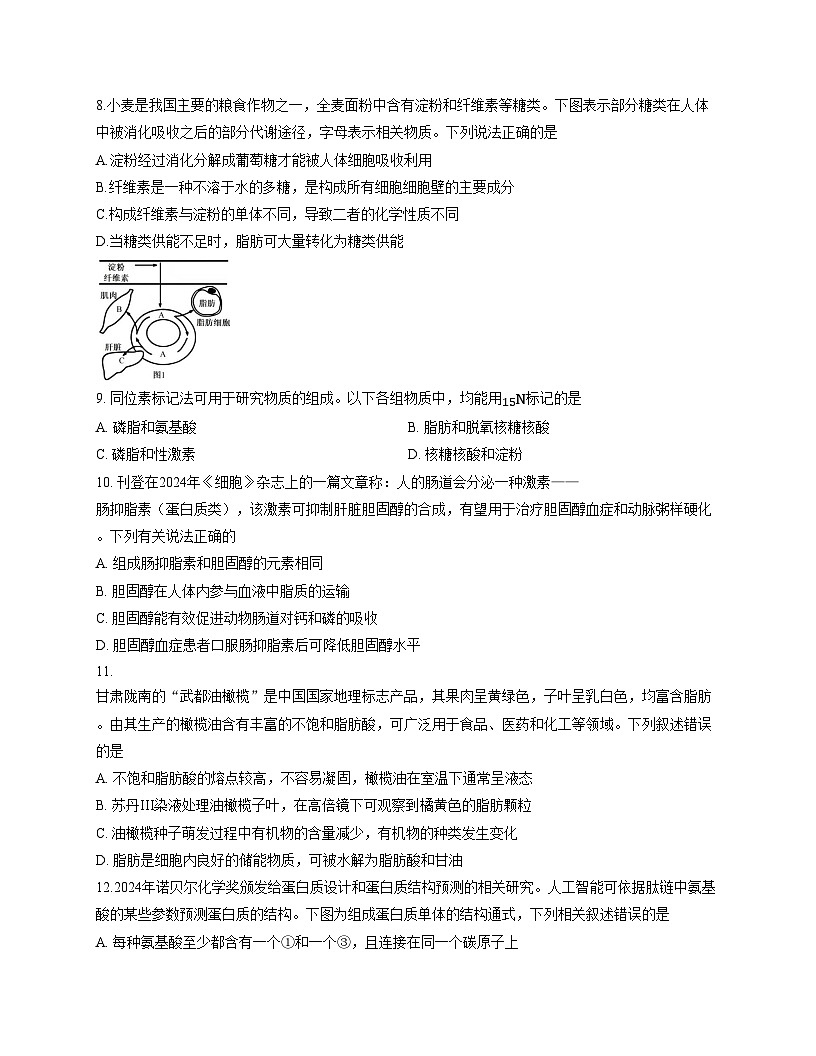 山东省师范大学附属中学2025_2026学年高一上学期期中生物试题（扫描版，含答案）第3页
