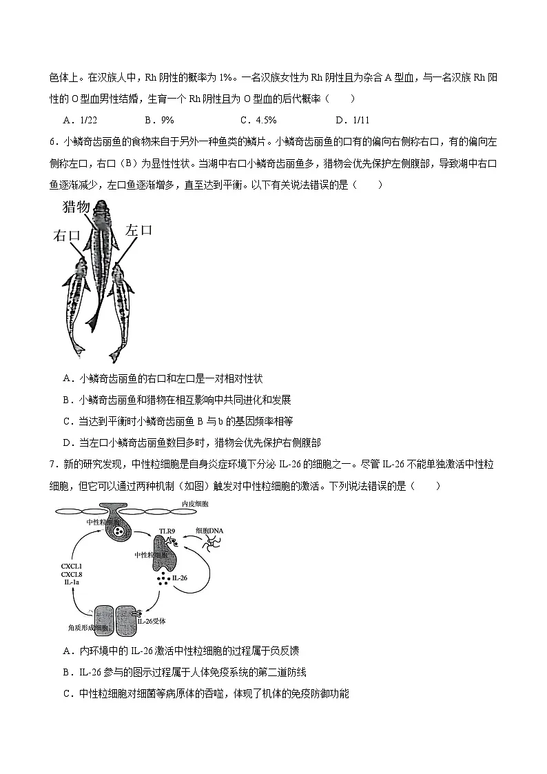 山东省枣庄市2026届高三上学期质量检测（一调）生物试卷（Word版附答案）第2页