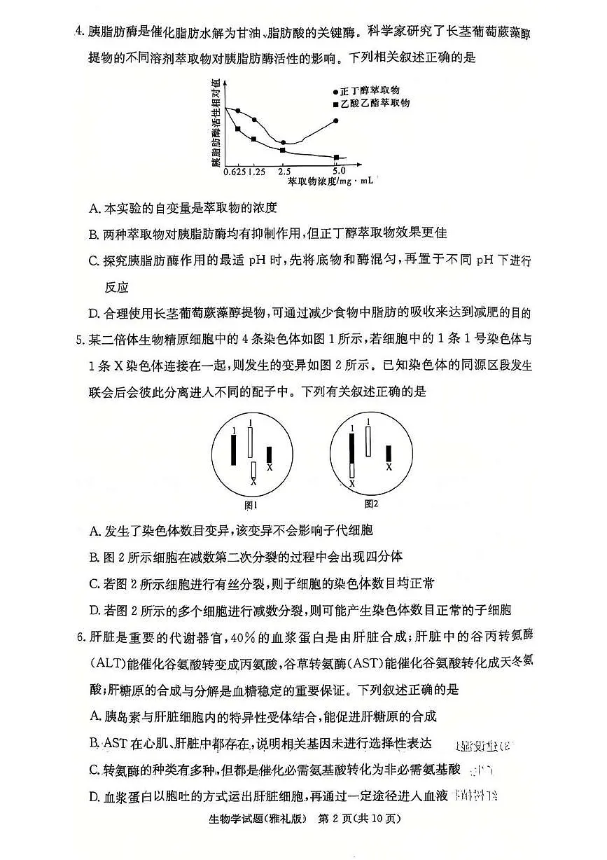 湖南省长沙市雅礼中学2024-2025学年高三上学期第四次月考生物试卷第2页