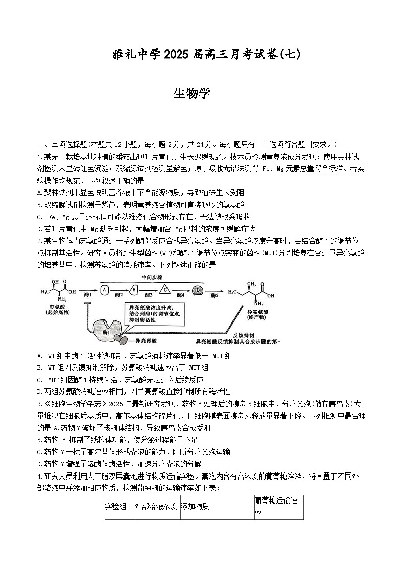 湖南省长沙市雨花区长沙市雅礼中学2024-2025学年高三下学期生物月考试卷（七）第1页