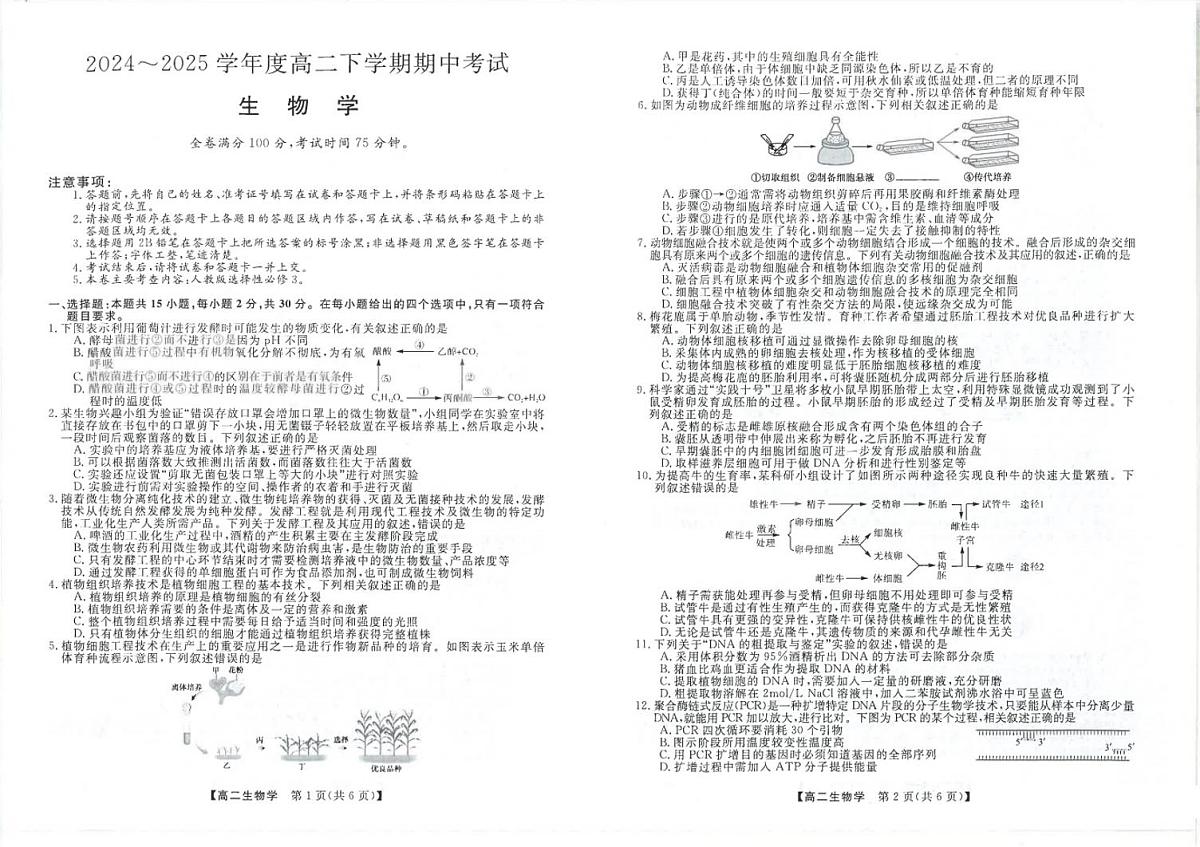 吉林省松原市2024~2025学年度高二下学期期中考试   生物学（含答题卡、答案）第1页