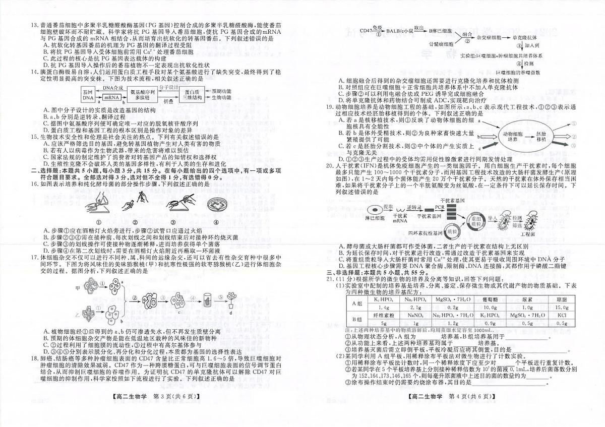 吉林省松原市2024~2025学年度高二下学期期中考试   生物学（含答题卡、答案）第2页