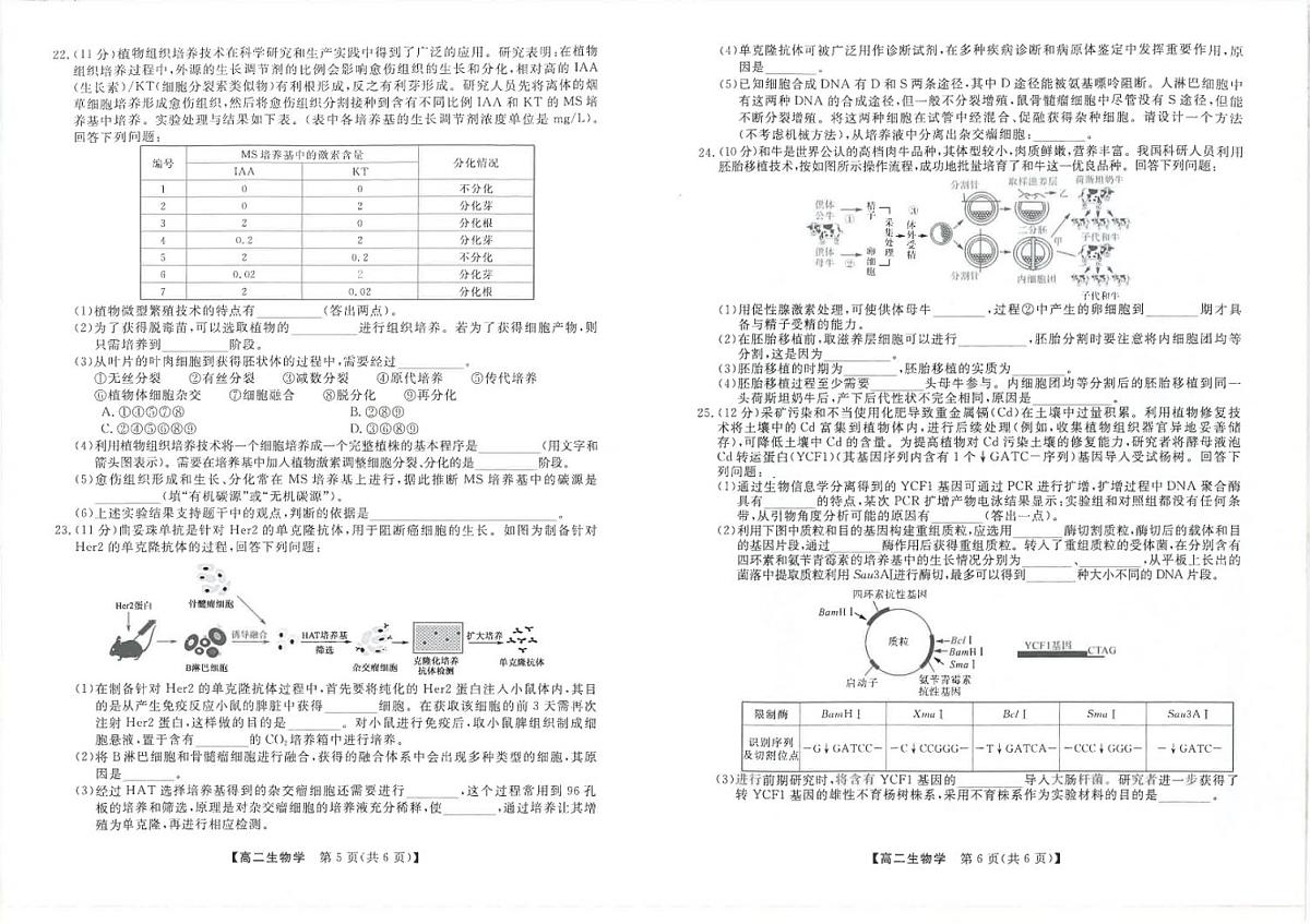 吉林省松原市2024~2025学年度高二下学期期中考试   生物学（含答题卡、答案）第3页