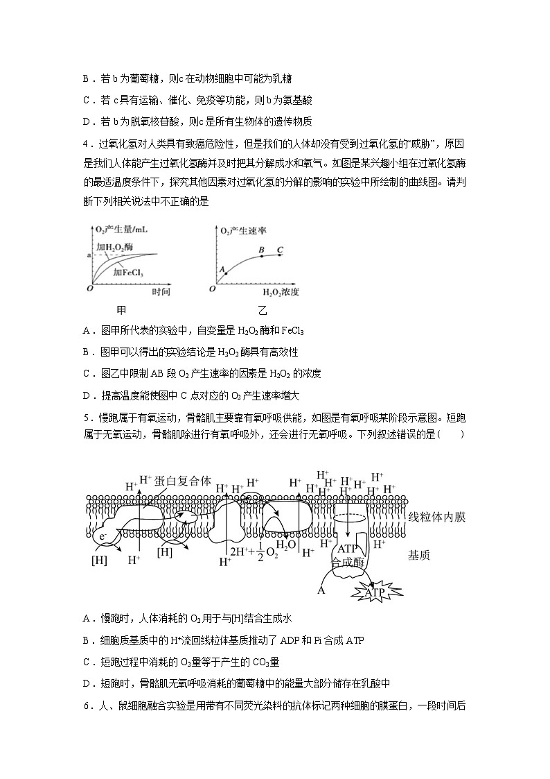湖南岳阳市平江县颐华高级中学2025-2026学年高一下学期开学考试生物试题含答案第2页