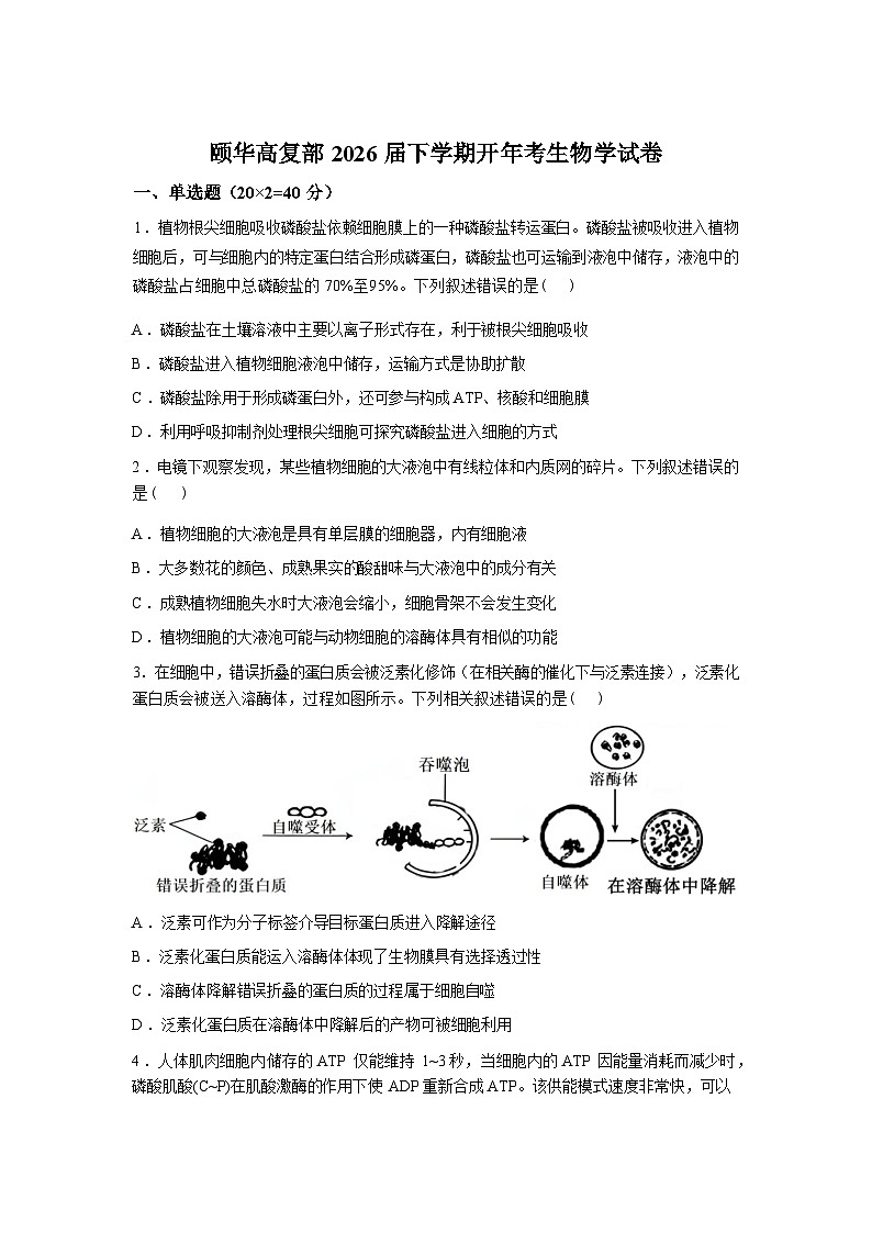 湖南岳阳市平江县颐华高级中学2025-2026学年高三下学期开学考试生物试题（高复部）含答案第1页
