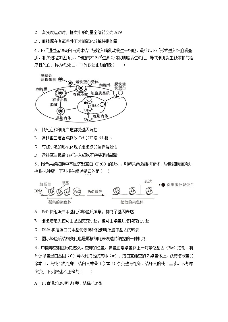 湖南岳阳市平江县颐华高级中学2025-2026学年高二下学期开学考试生物试题含答案第2页