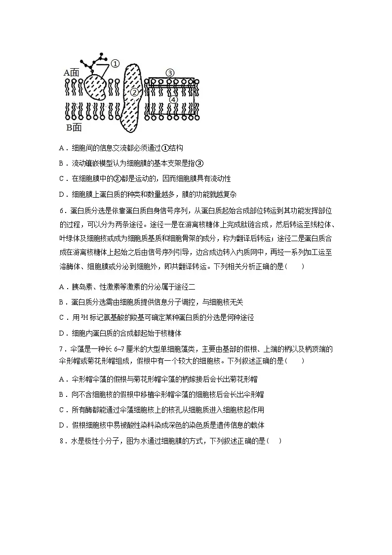 湖南常德市汉寿县第一中学2025-2026学年高一下学期2月月考生物试题含答案第2页