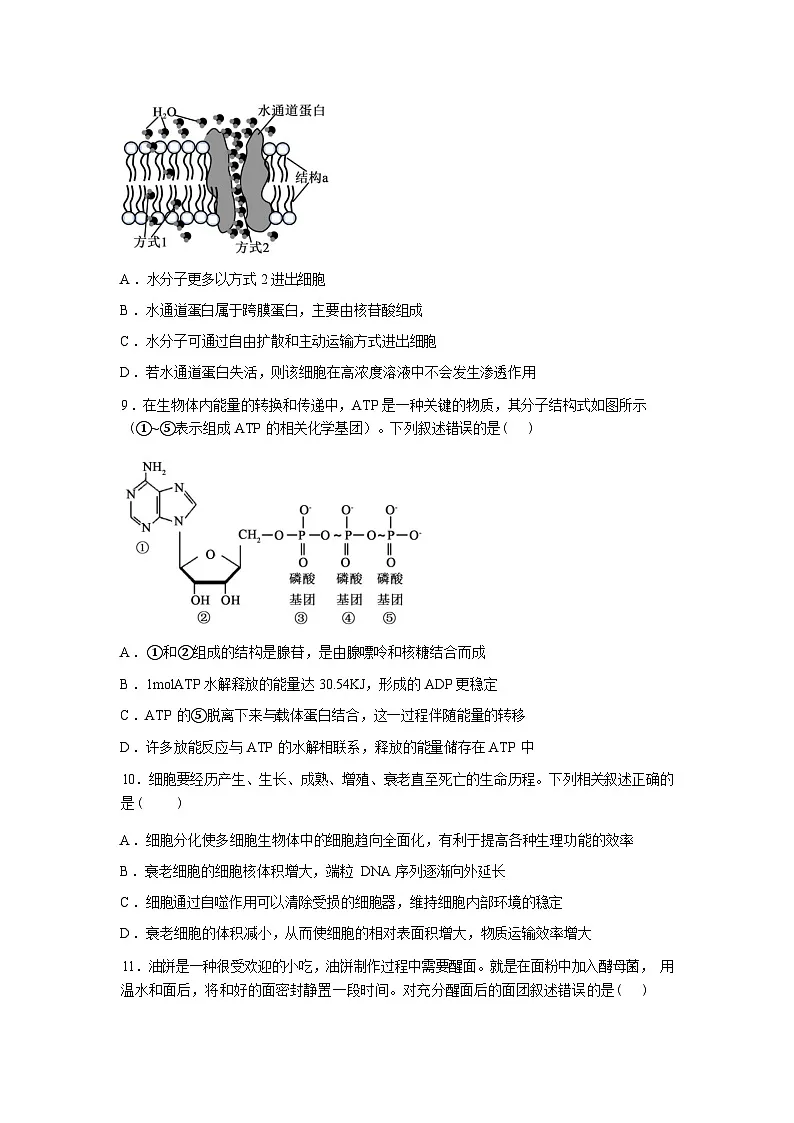 湖南常德市汉寿县第一中学2025-2026学年高一下学期2月月考生物试题含答案第3页