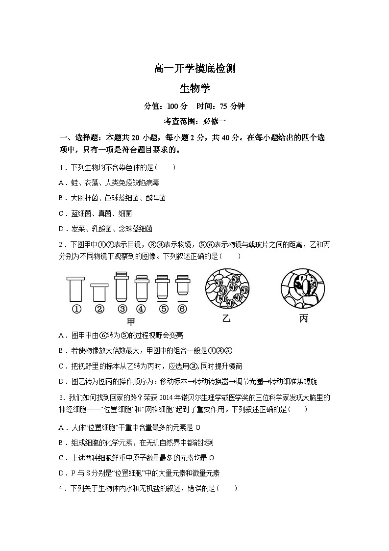湖南衡阳县第二中学2025--2026学年高一下学期开学考试生物试题含答案第1页