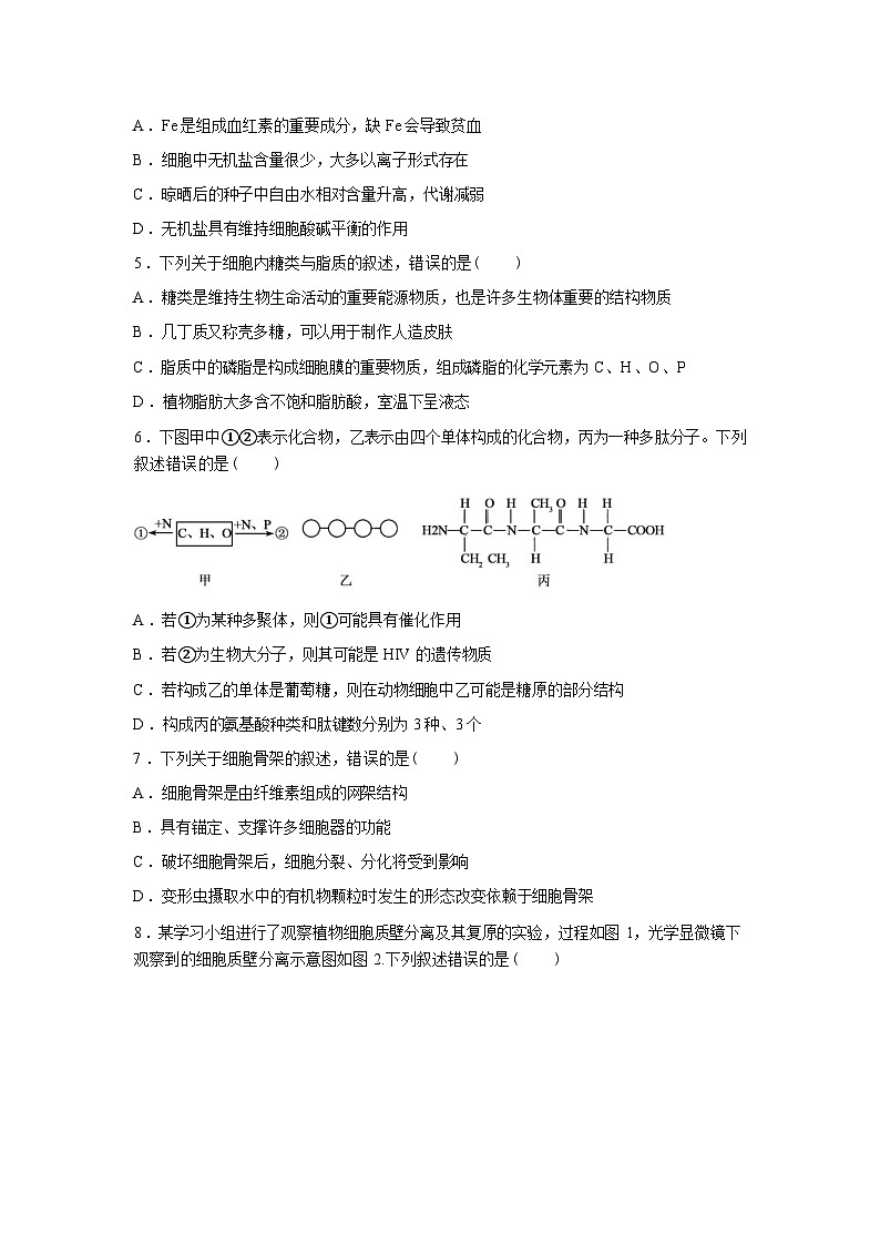 湖南衡阳县第二中学2025--2026学年高一下学期开学考试生物试题含答案第2页