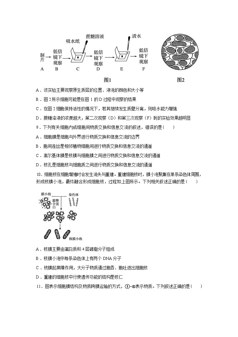 湖南衡阳县第二中学2025--2026学年高一下学期开学考试生物试题含答案第3页