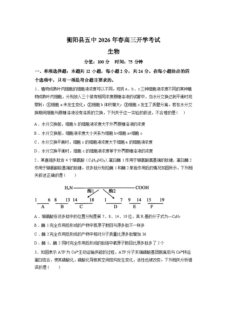 湖南衡阳县第五中学2025-2026学年下学期高三开学考试生物试卷含答案第1页