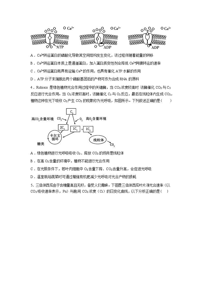 湖南衡阳县第五中学2025-2026学年下学期高三开学考试生物试卷含答案第2页