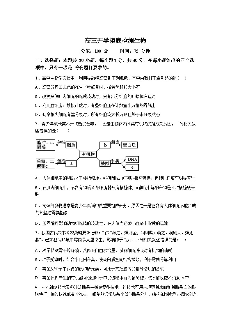 湖南衡阳县第四中学2025--2026学年高三下学期生物开学考试试题含答案第1页