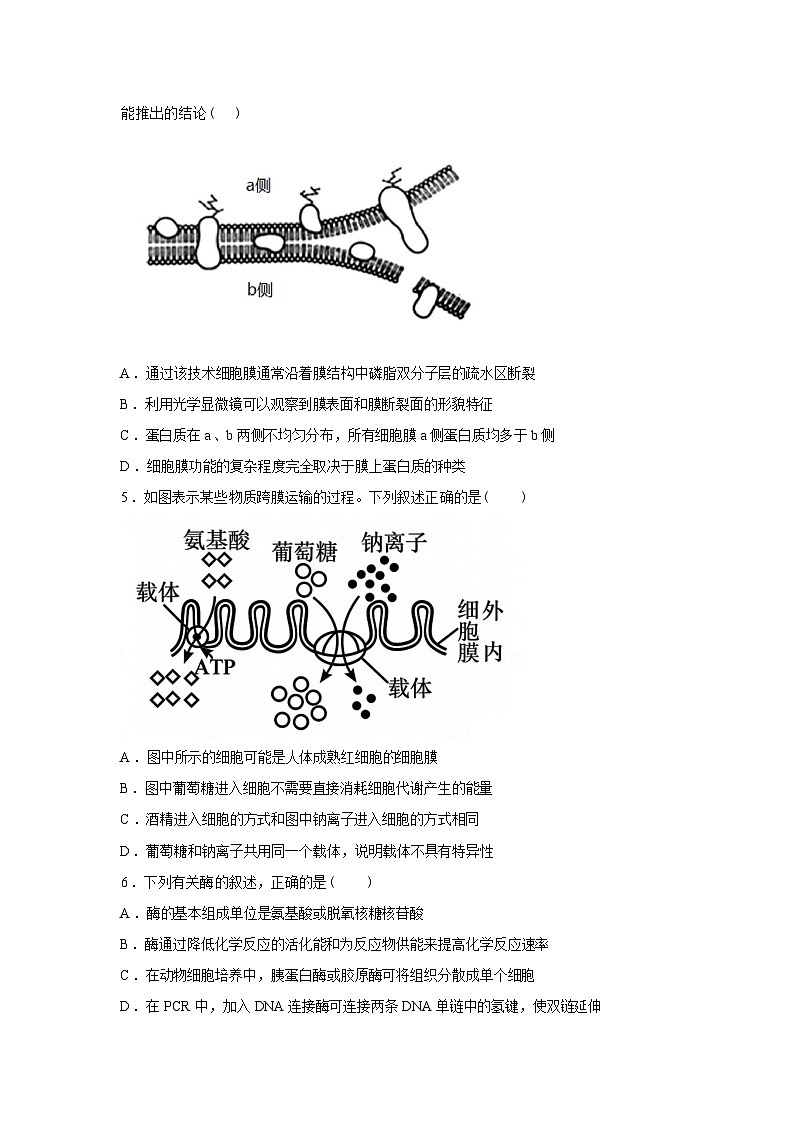 湖南衡阳县第四中学2025--2026学年高三下学期生物开学考试试题含答案第2页